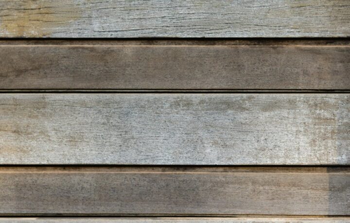 Ściany z grzybni w domu: akustyczne, oddychające i piękne – praktyczny przewodnik 2025